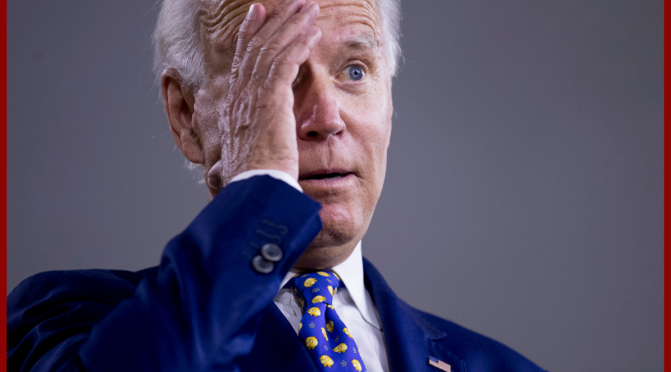 Joe Biden’s Former Stenographer Says The Former VP Has ‘Lost A Step’ Says Biden Is ‘shell of his former self’